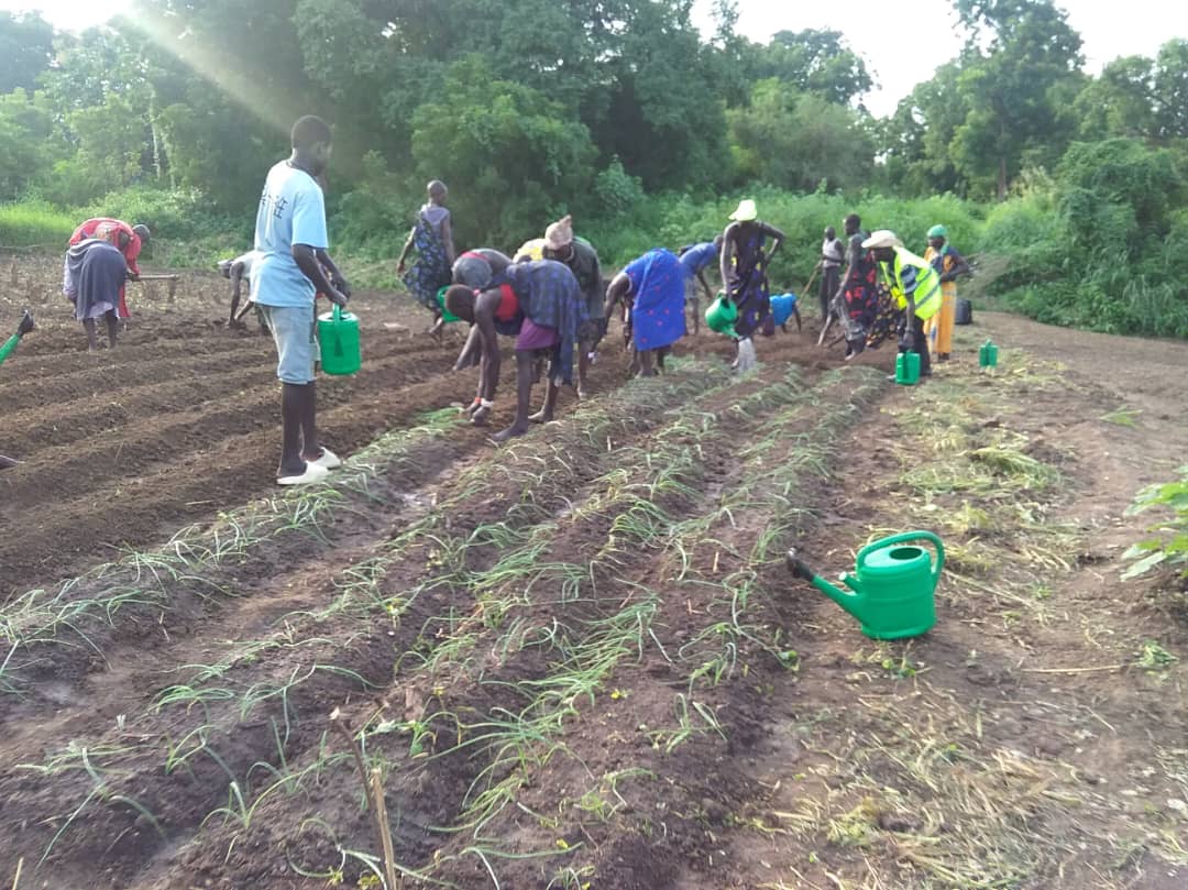 Agricultural Training   Terekeka Count, South Sudan